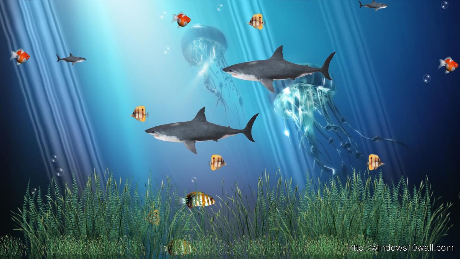 Coral Aquarium Animated  Background Wallpaper