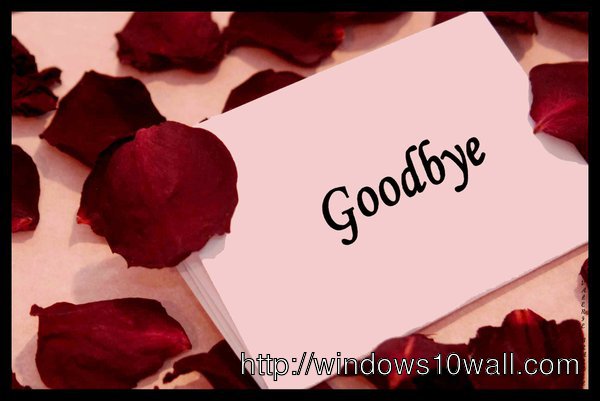 Goodbye with Roses Background Wallpaper