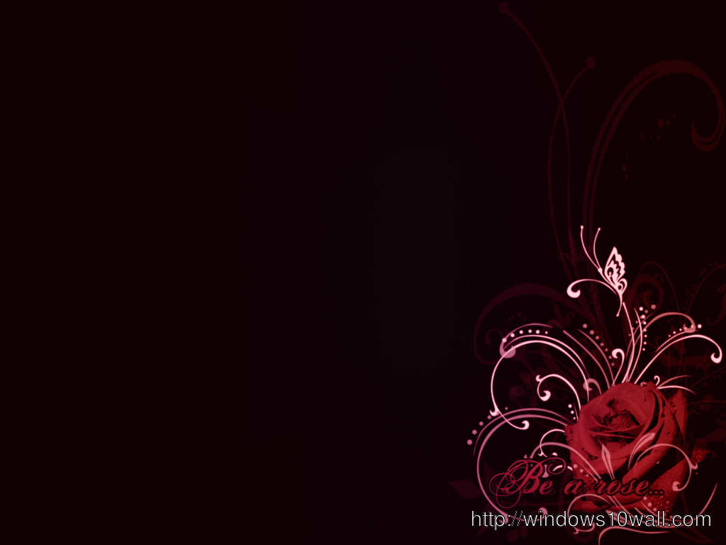 Red Rose In Black Background Wallpaper