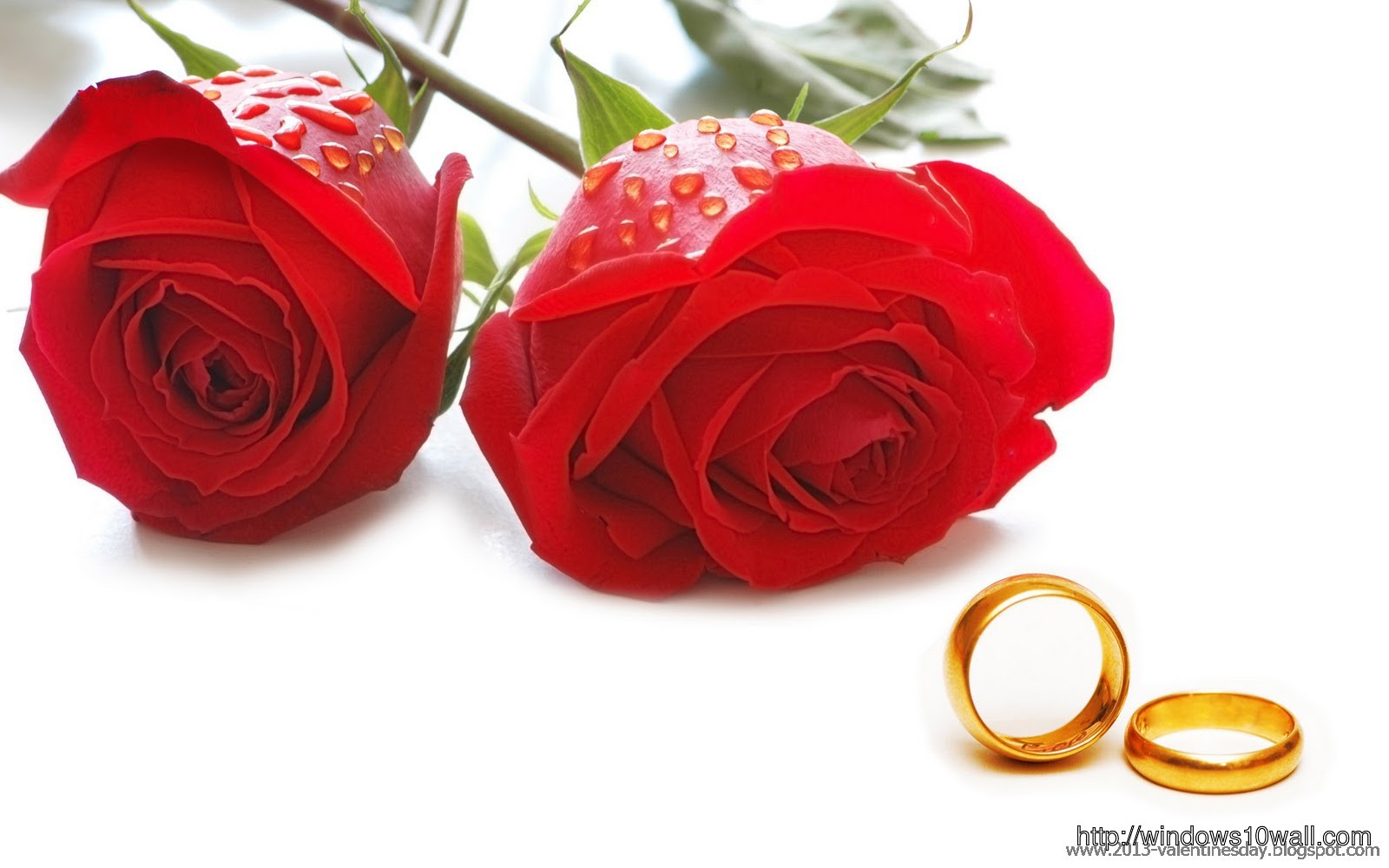 Rose Day, Valentines Day, Ring Background Wallpaper