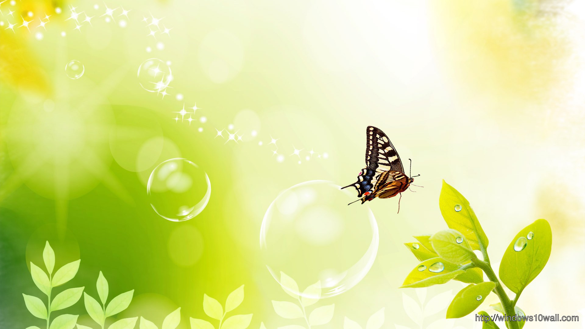 Widescreen Landscape Nature Wallpaper with Butterfly