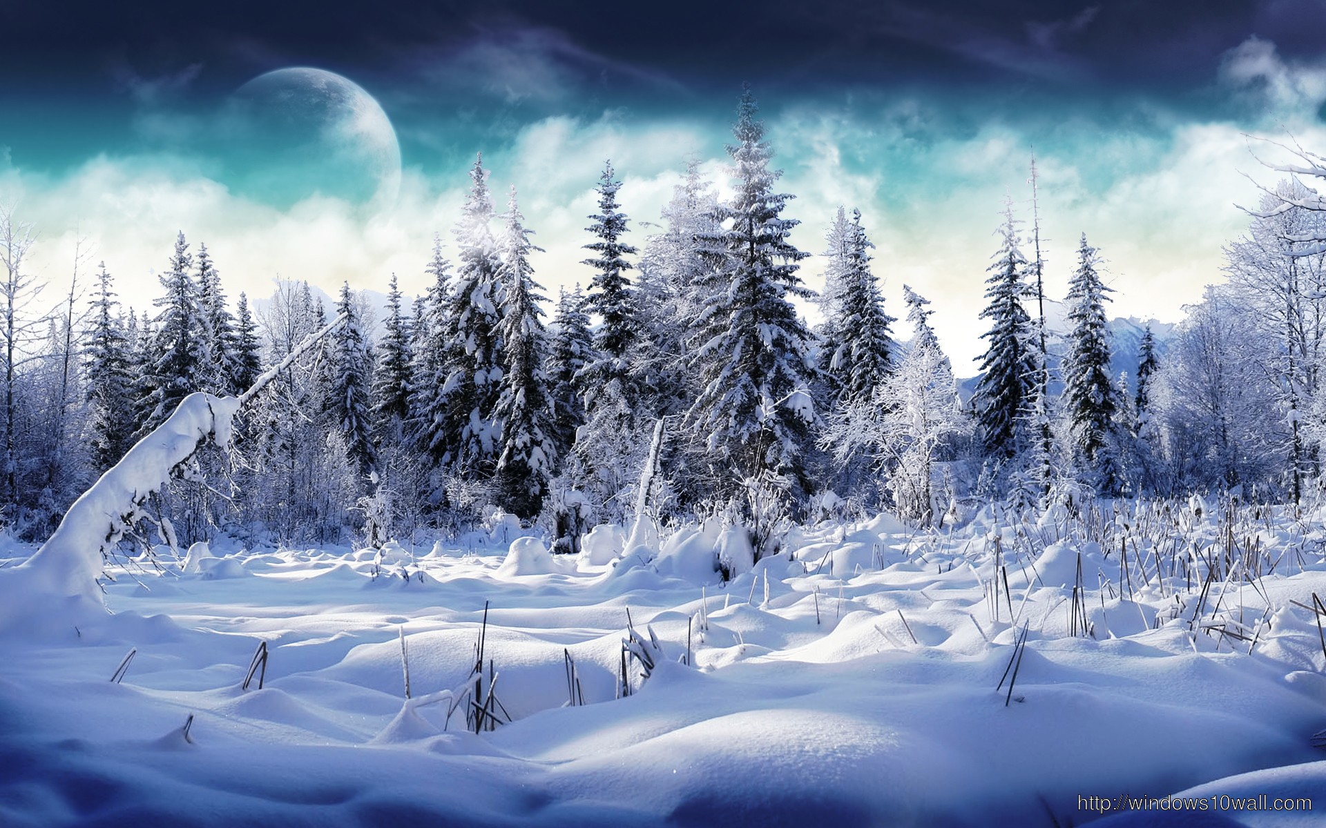 Winter High Quality Background Wallpaper