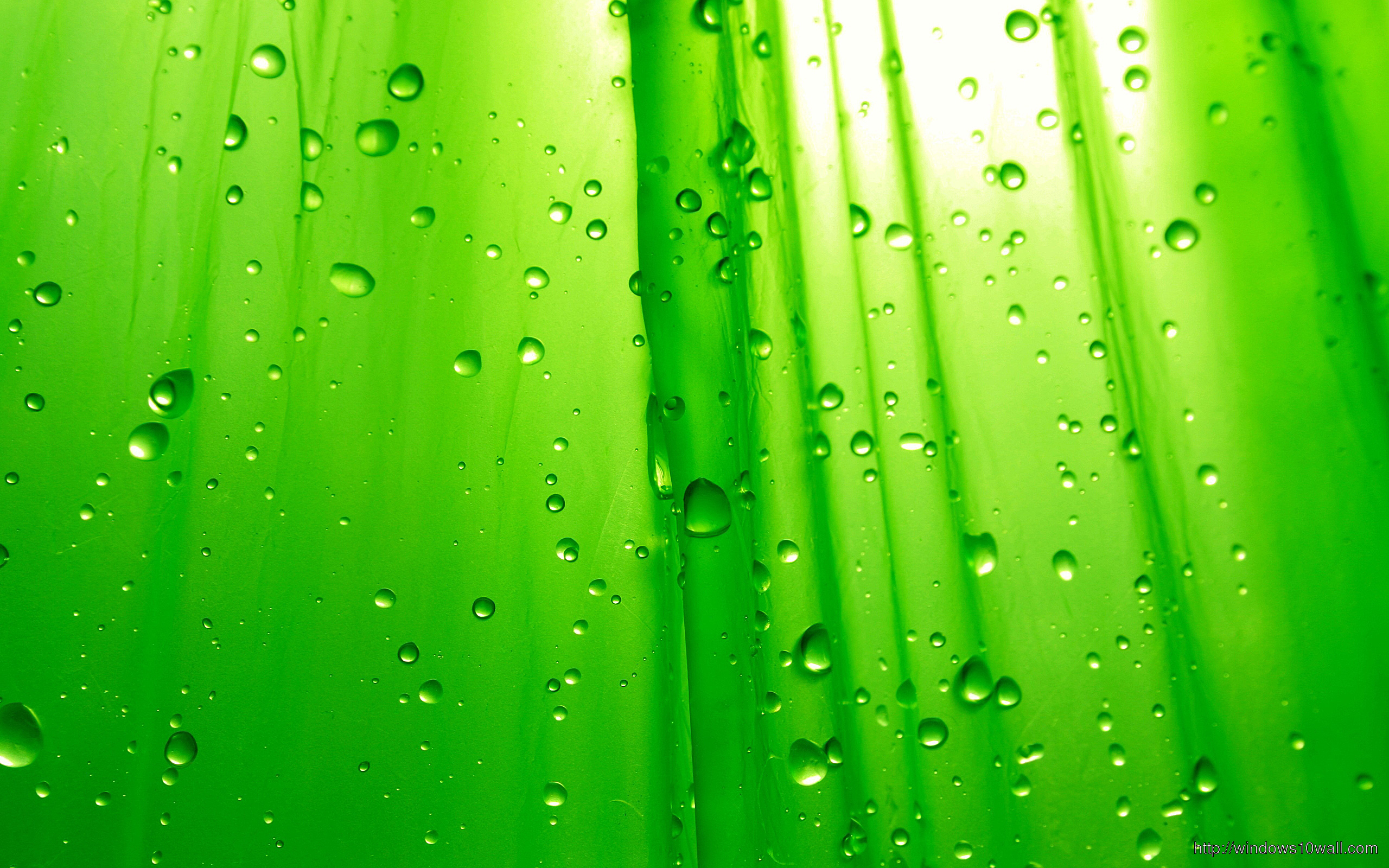 Green Water Drops Hd Background Wallpaper