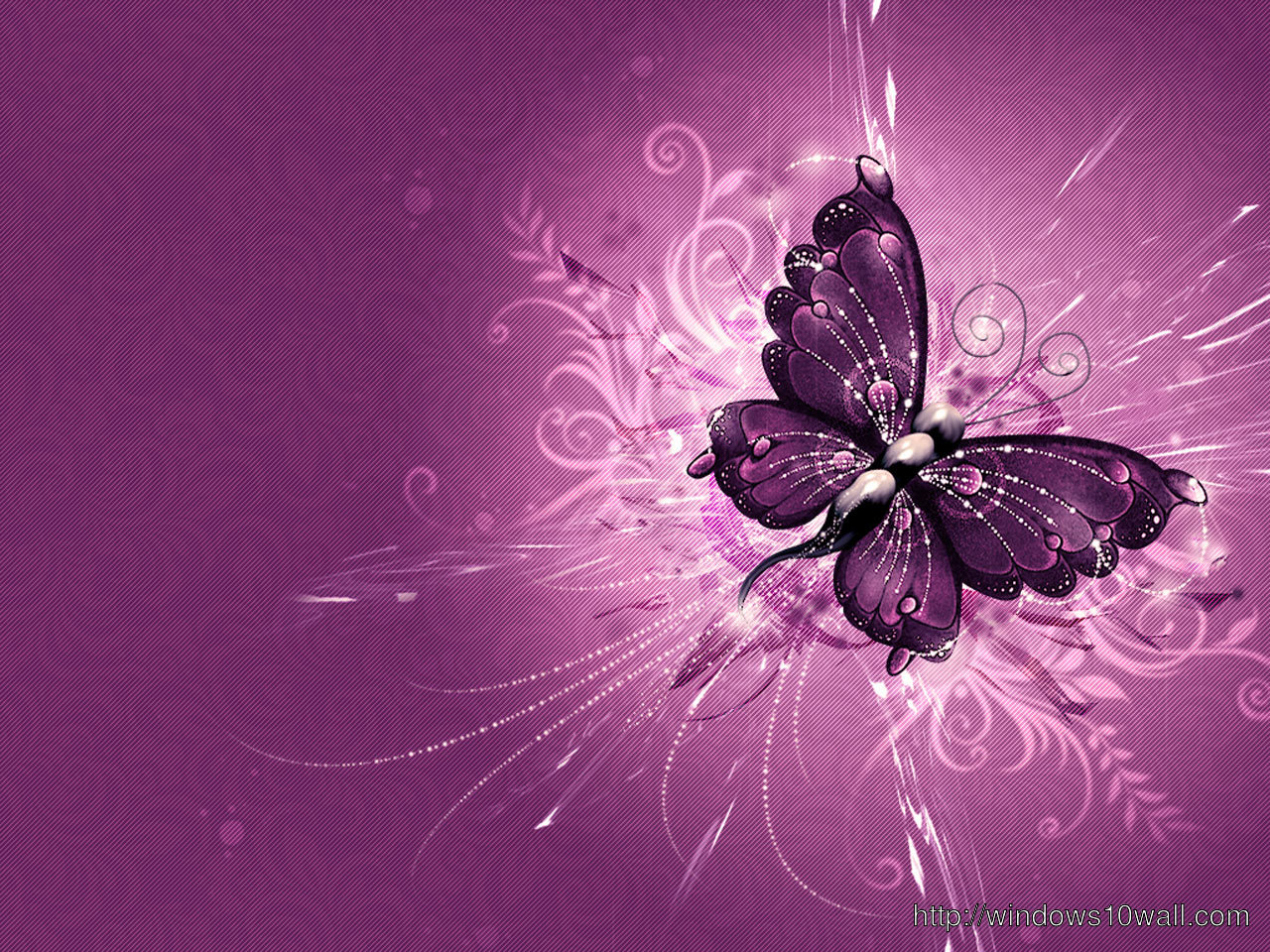 3D Purple Butterfly Background Wallpaper