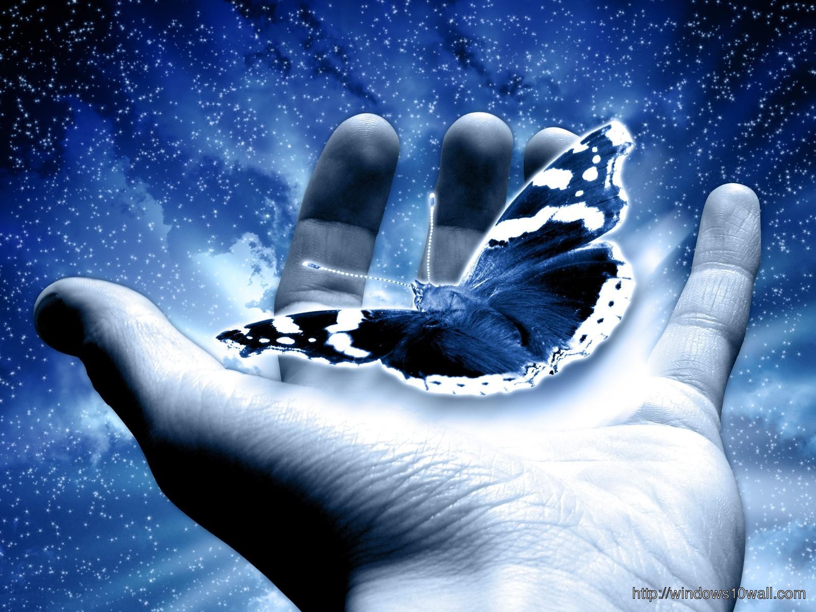 Beautiful Butterfly in Hand Background Wallpaper