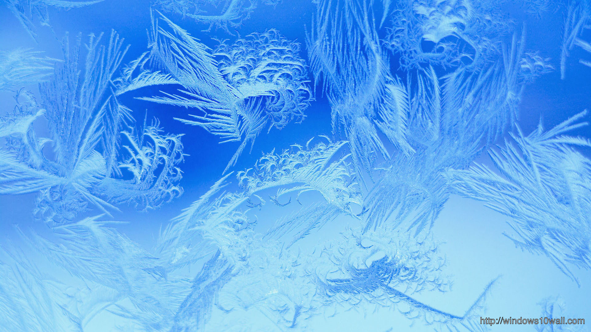 Snowflake HD Background Wallpaper