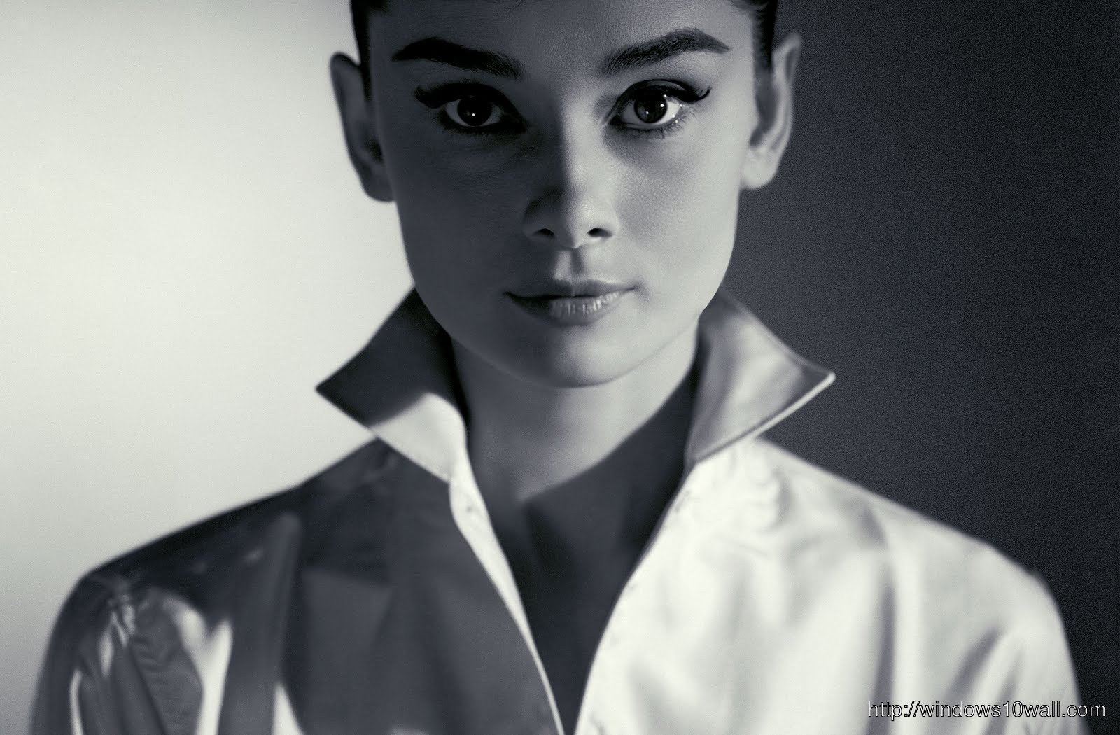 Audrey Hepburn Pic