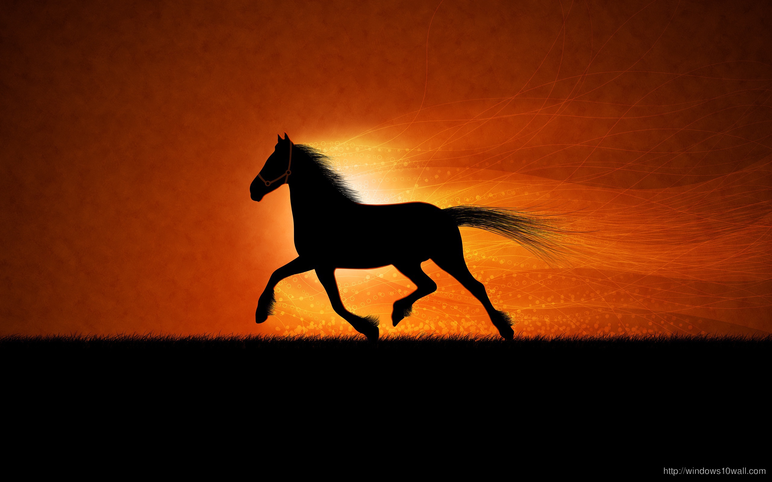 Horse In Sunset Wallpaper