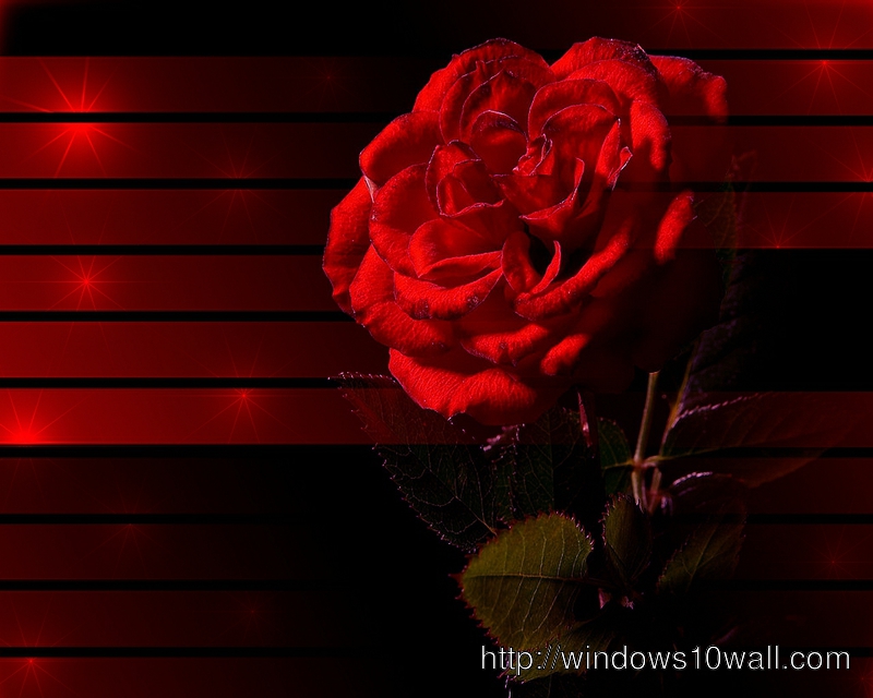 windows 10 minions wallpaper for laptop 3d abstract rose wallpapers flowers nature windows category