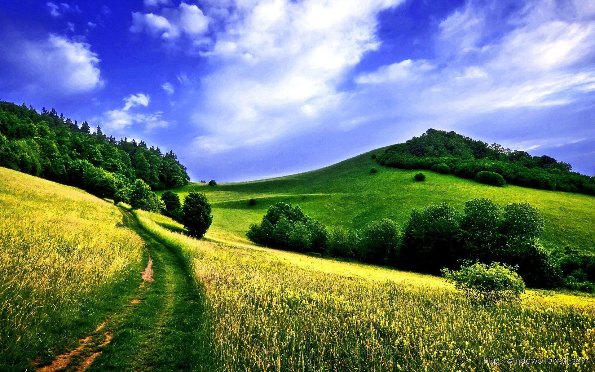 Country Road In A Green Field Wallpaper - windows 10 