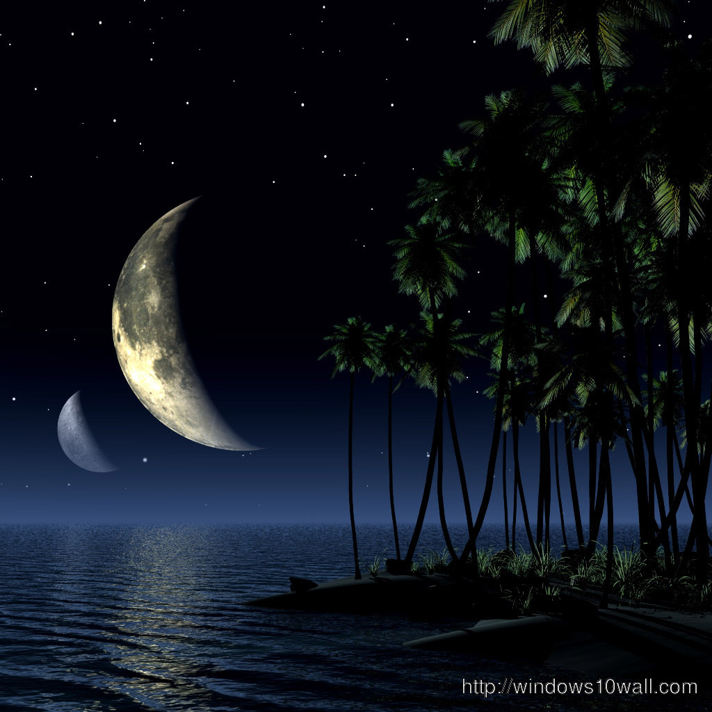 Night view with tree and moon iPad Background Wallpaper