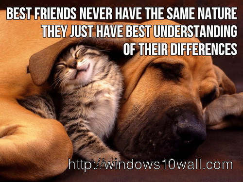 inspirational-friendship-quotes-pictures-wallpaper